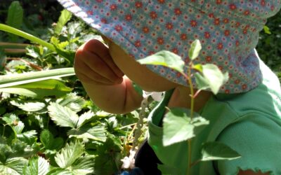 Nezahálíme ani v parném létě