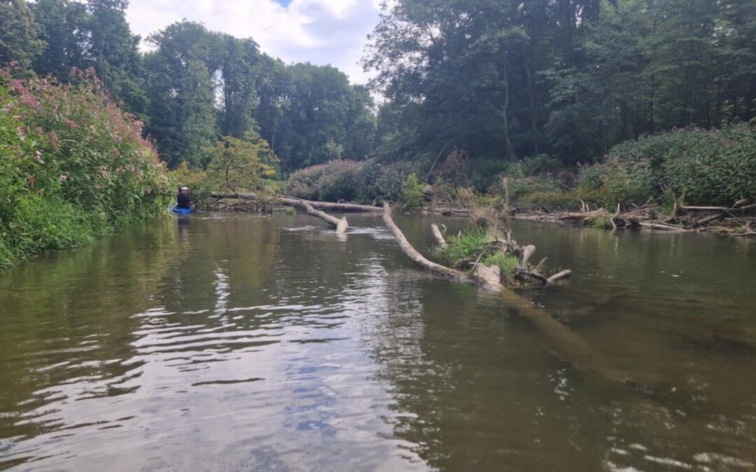 Nejsem otrokem svých povinností               (a vy taky ne!)